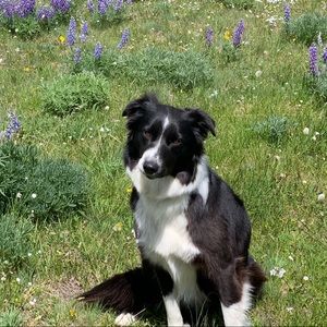 Meet your Posher, Catrina